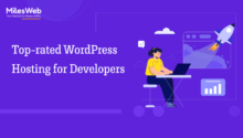 WordPress Hosting for Developers