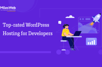 WordPress Hosting for Developers